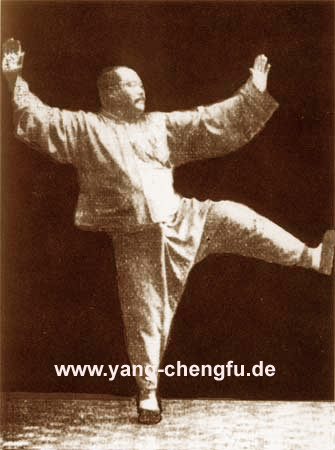 Yang-Chengfu-Tai-Chi-Form: DTB-Lehrerausbildung Deutschland