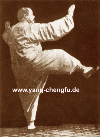Yang-Chengfu-Tai-Chi-Form: DTB-Lehrerausbildung Deutschland